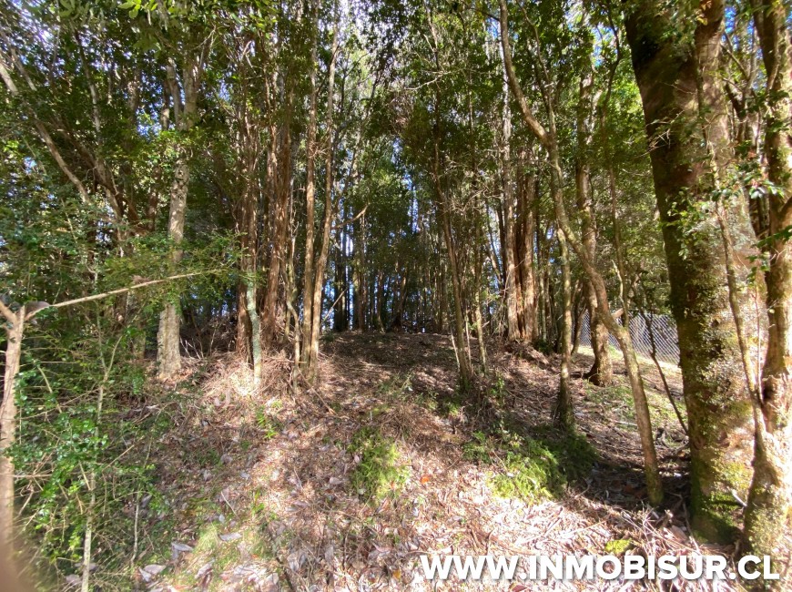 Venta en Puerto Montt | Parcela en Campomar