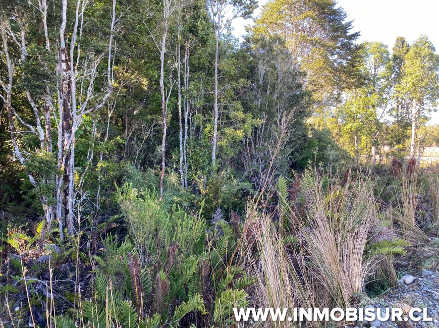 Venta en Puerto Montt | Parcela en Condominio Lomas de Monteverde