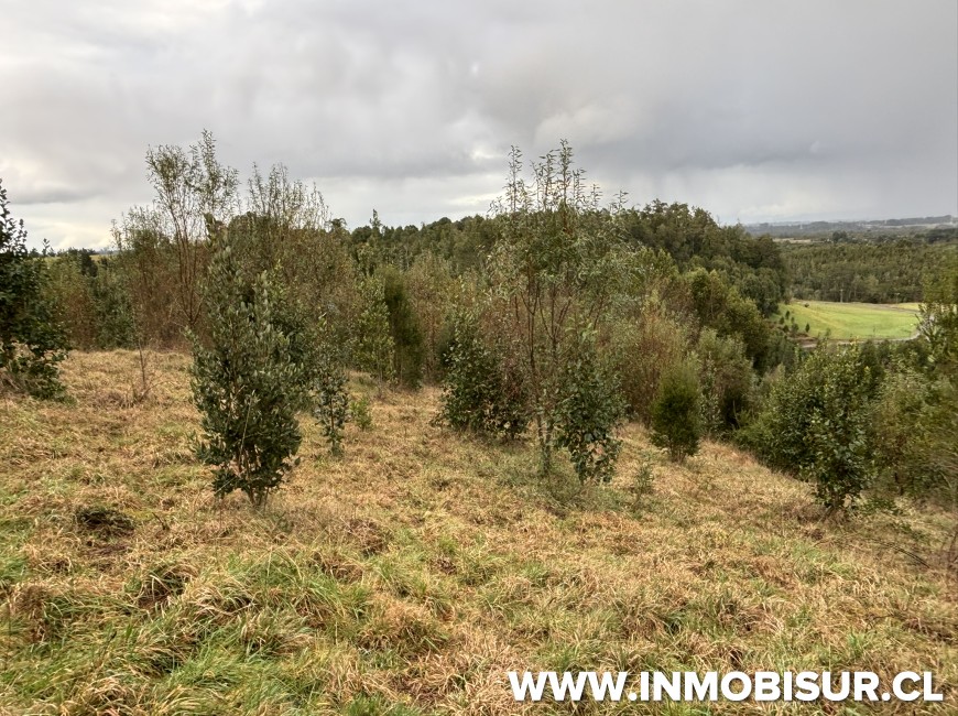 Venta en Puerto Varas | Parcela en Condominio Los Copihues-Nueva Braunau