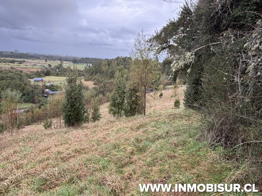 Venta en Puerto Varas | Parcela en Condominio Los Copihues-Nueva Braunau