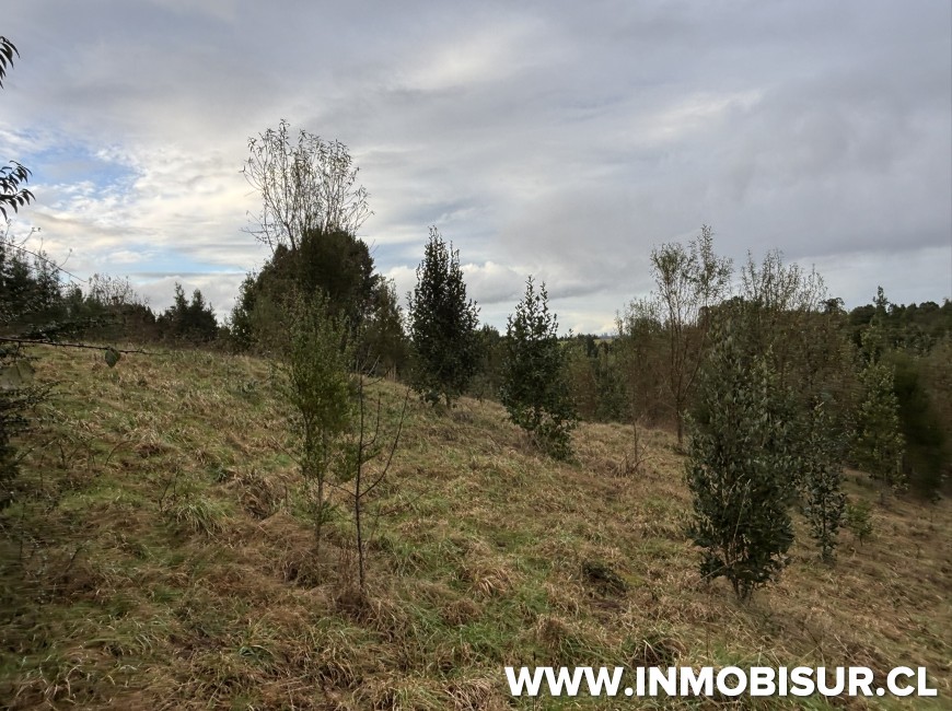 Venta en Puerto Varas | Parcela en Condominio Los Copihues-Nueva Braunau