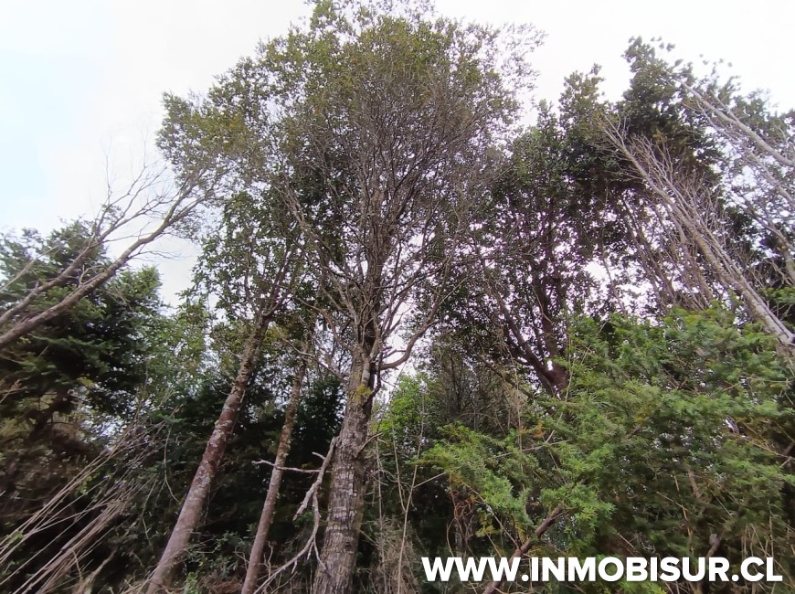 Venta en Puerto Montt | Parcela en Loteo Los Robles