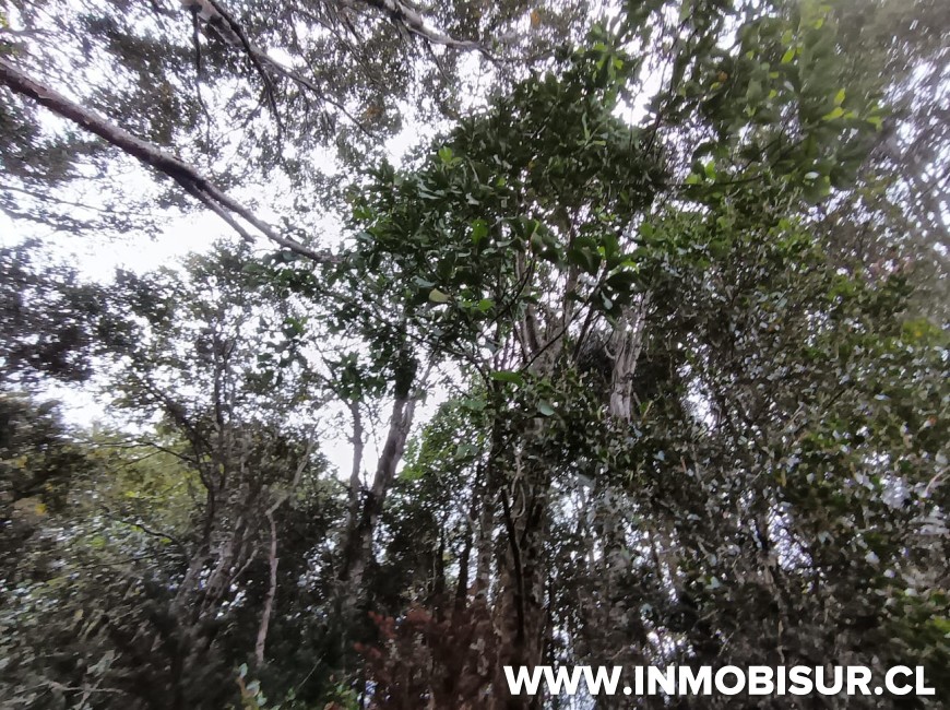 Venta en Puerto Montt | Parcela en Loteo Los Robles
