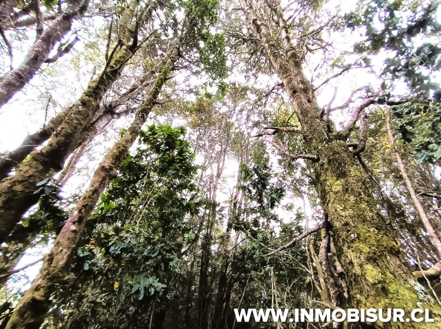 Venta en Puerto Montt | PARCELA EN LOTEO LOS ROBLES , SENDA CENTRAL