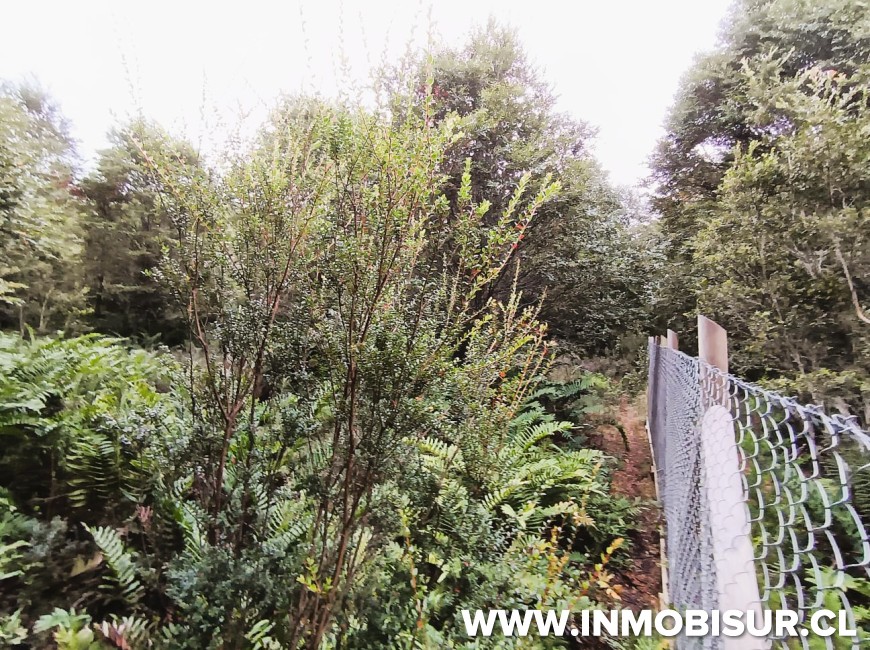 Venta en Puerto Montt | PARCELA EN LOTEO LOS ROBLES , SENDA CENTRAL