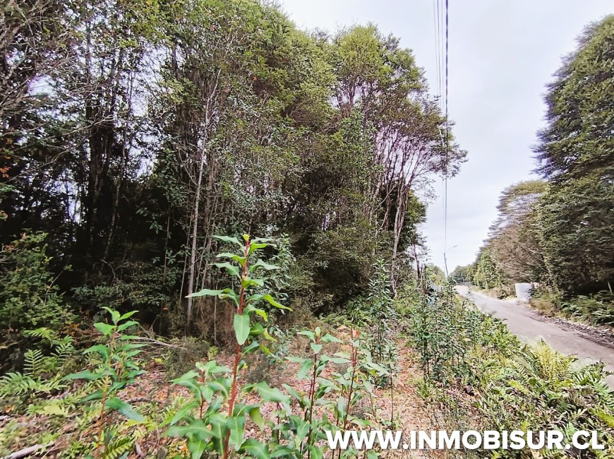 Venta en Puerto Montt | PARCELA EN LOTEO LOS ROBLES , SENDA CENTRAL