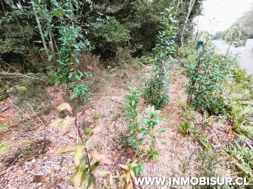 Venta en Puerto Montt | PARCELA EN LOTEO LOS ROBLES , SENDA CENTRAL