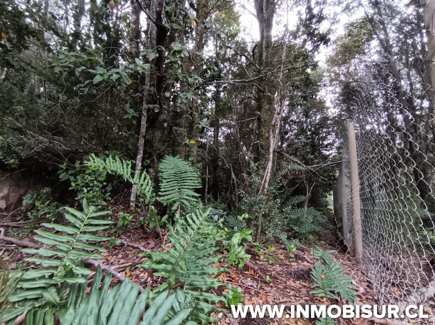 Venta en Puerto Montt | PARCELA EN LOTEO LOS ROBLES , SENDA CENTRAL