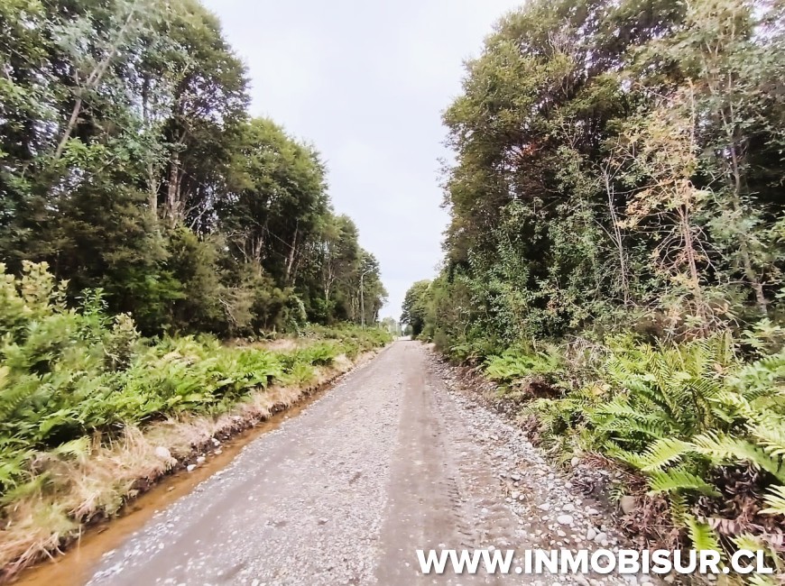 Venta en Puerto Montt | PARCELA EN LOTEO LOS ROBLES , SENDA CENTRAL