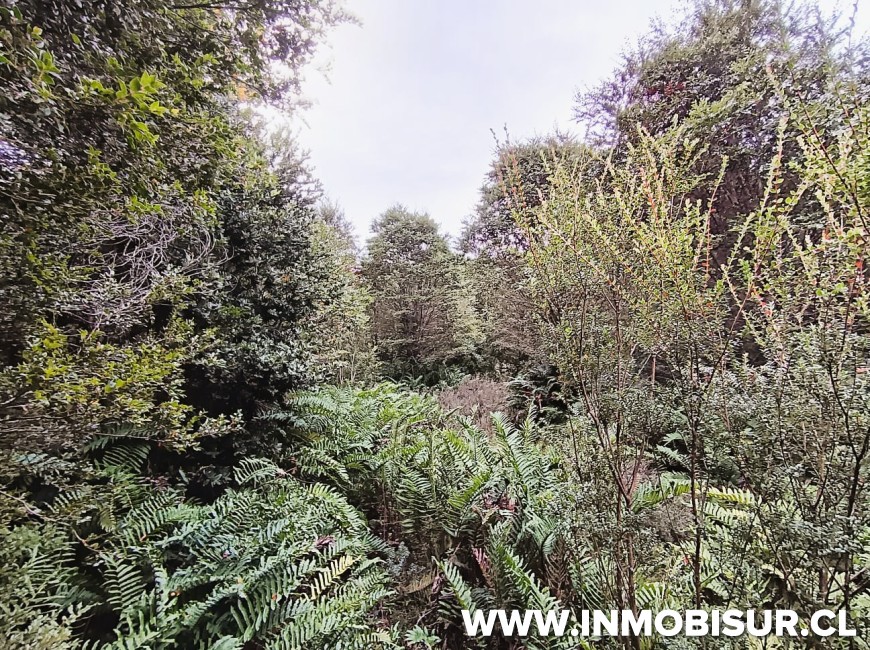 Venta en Puerto Montt | PARCELA EN LOTEO LOS ROBLES , SENDA CENTRAL