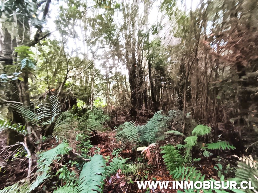 Venta en Puerto Montt | PARCELA EN LOTEO LOS ROBLES , SENDA CENTRAL