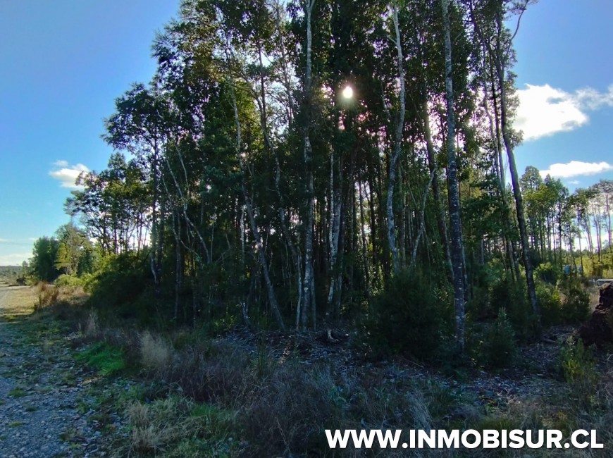 Venta en Puerto Montt | Parcela en Monteverde
