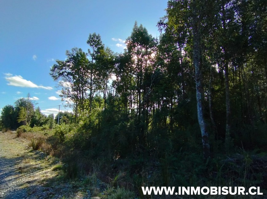 Venta en Puerto Montt | Parcela en Monteverde