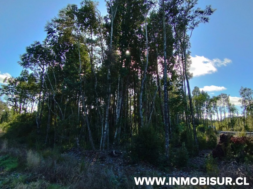 Venta en Puerto Montt | Parcela en Monteverde