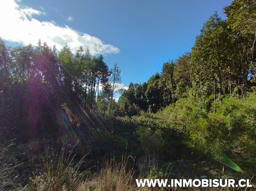 Venta en Puerto Montt | Parcela en Monteverde