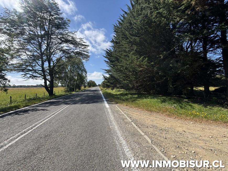 Venta en Puerto Octay | Parcela en venta a 11 minutos de Puerto Octay