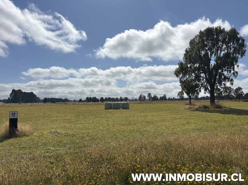 Venta en Puerto Octay | Parcela en venta a 11 minutos de Puerto Octay