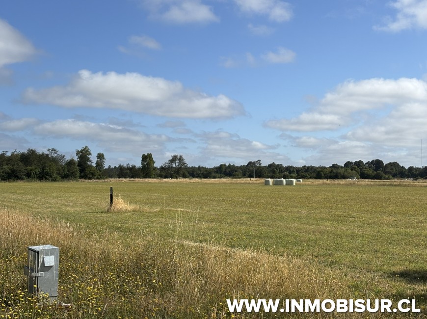 Venta en Puerto Octay | Parcela en venta a 11 minutos de Puerto Octay