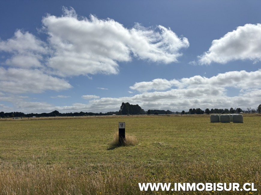 Venta en Puerto Octay | Parcela en venta a 11 minutos de Puerto Octay