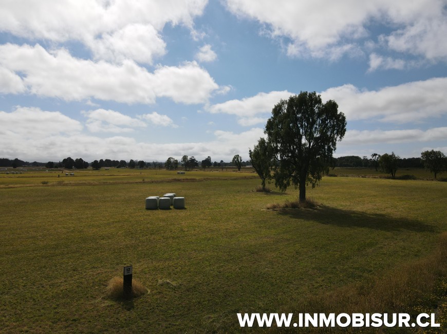 Venta en Puerto Octay | Parcela en venta a 11 minutos de Puerto Octay