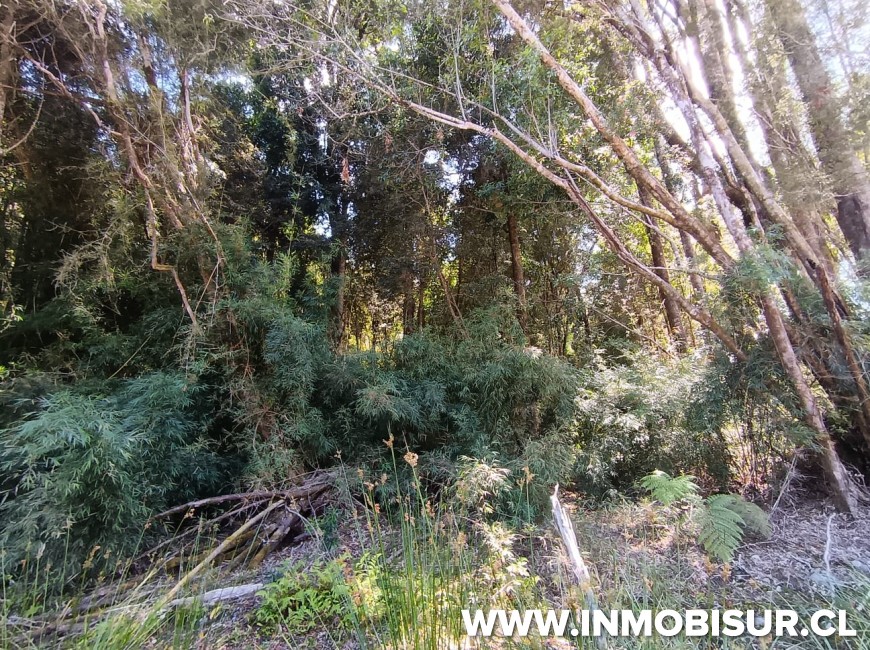 Venta en Puerto Montt | Parcela en venta en Bosques de Chamiza