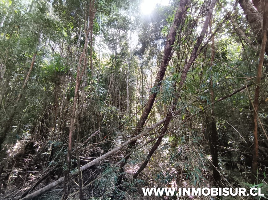 Venta en Puerto Montt | Parcela en venta en Bosques de Chamiza