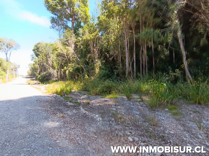 Venta en Puerto Montt | Parcela en venta en Bosques de Chamiza