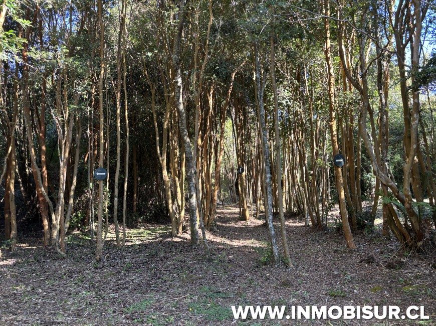 Venta en Puerto Varas | Parcela en Venta en Parque Residencial Santa Otilia, Puerto Varas