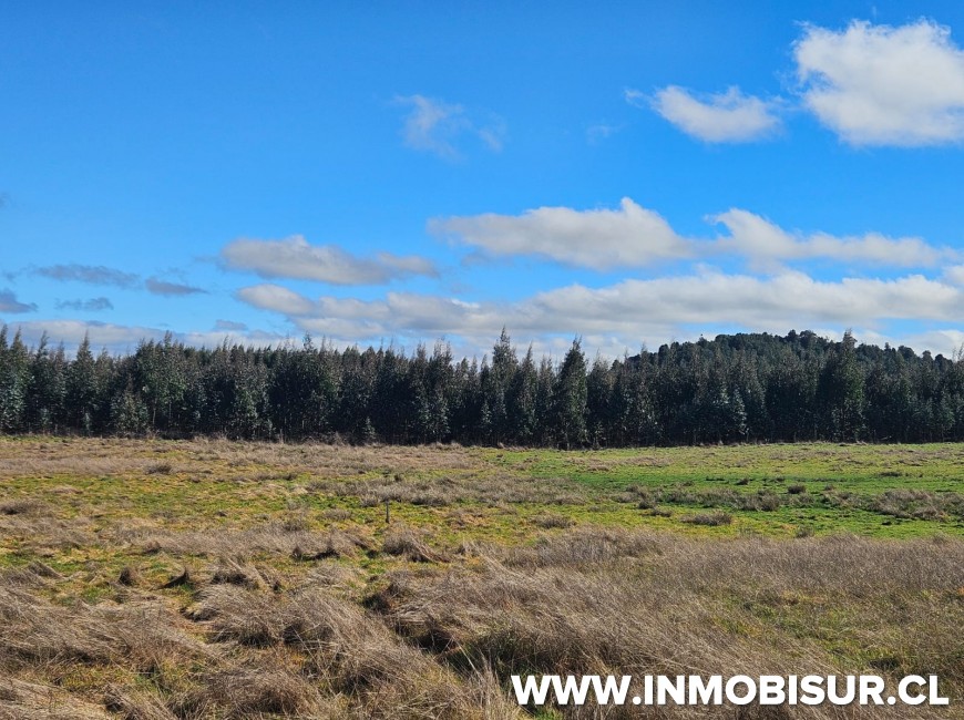 Venta en Llanquihue | Parcela en venta en sector de Pichilaguna