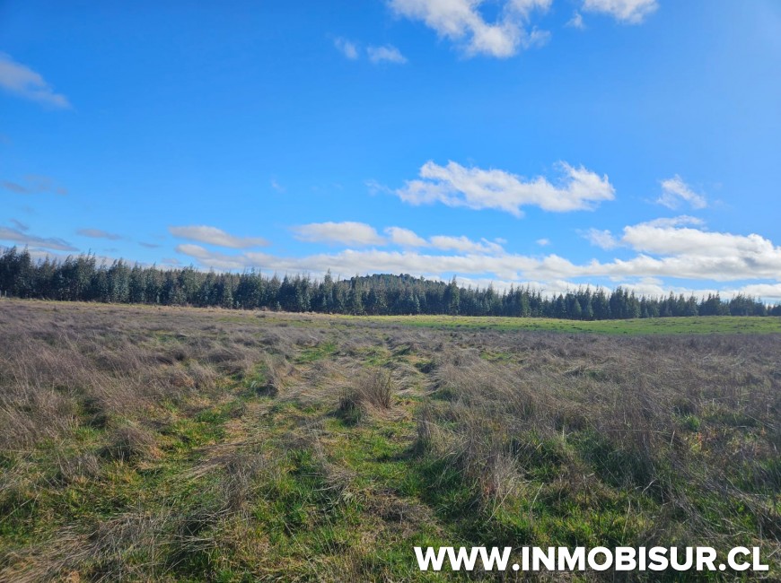 Venta en Llanquihue | Parcela en venta en sector de Pichilaguna