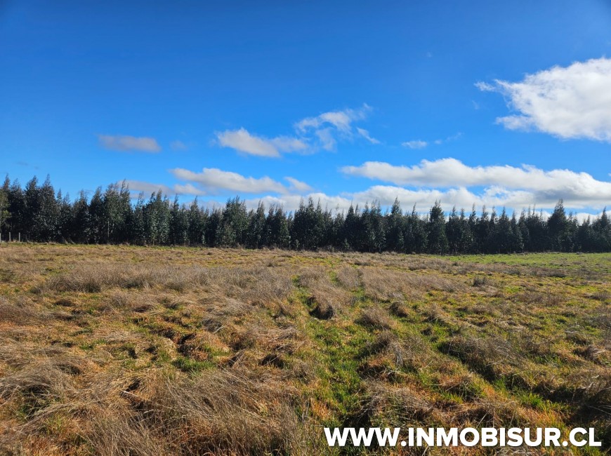 Venta en Llanquihue | Parcela en venta en sector de Pichilaguna