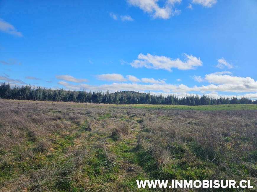 Venta en Llanquihue | Parcela en venta en sector de Pichilaguna