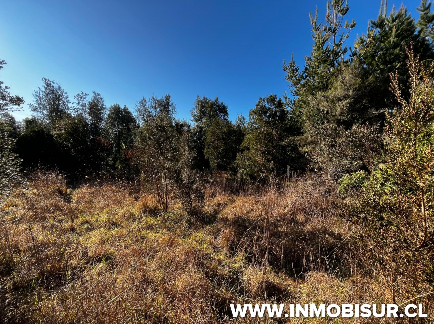 Venta en Llanquihue | Parcela en venta en Tierras del Llanquihue