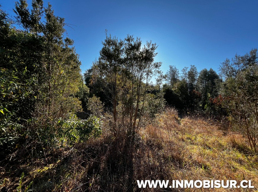 Venta en Llanquihue | Parcela en venta en Tierras del Llanquihue