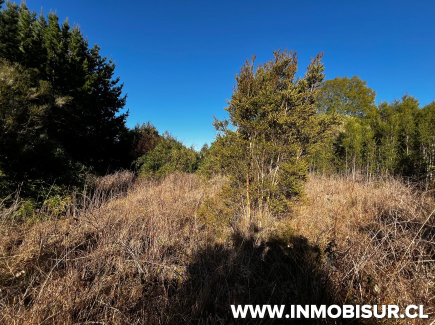 Venta en Llanquihue | Parcela en venta en Tierras del Llanquihue