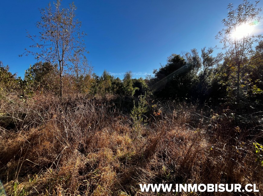 Venta en Llanquihue | Parcela en venta en Tierras del Llanquihue