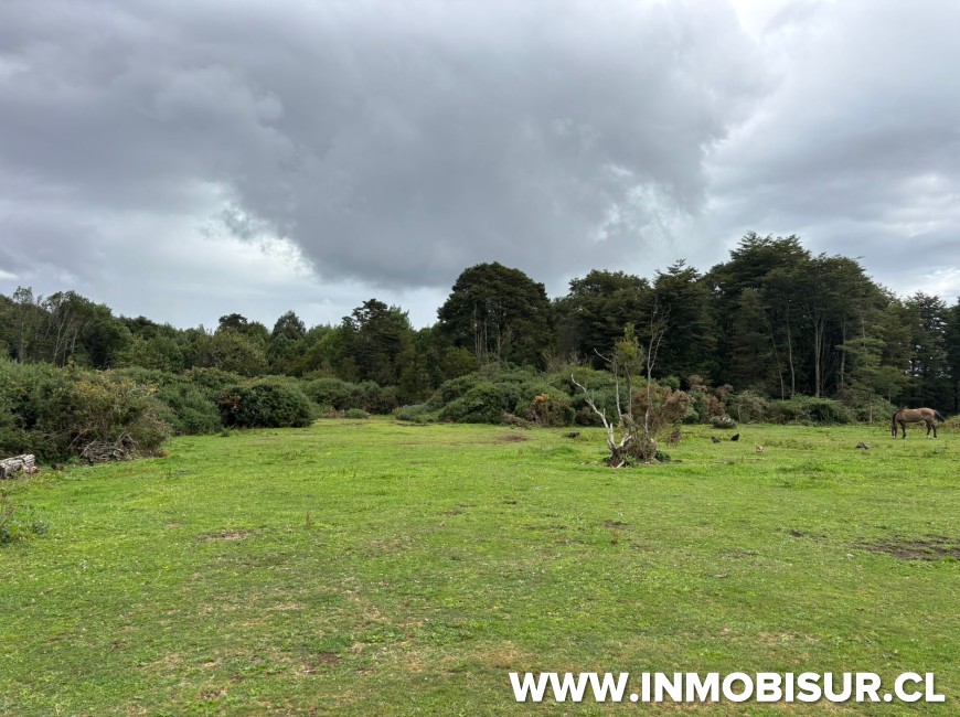 Venta en Puerto Montt | Parcela industrial a metros de Ruta 5 Sur Ideal para empresas o inversión