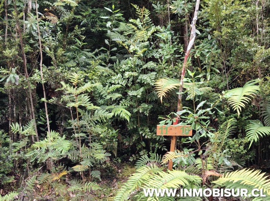 Venta en Puerto Montt | Parcela ubicada a minutos del Lago Chapo