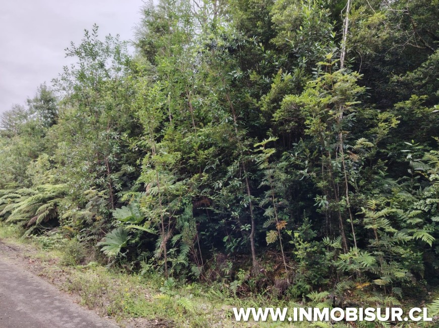 Venta en Puerto Montt | Parcela ubicada a minutos del Lago Chapo