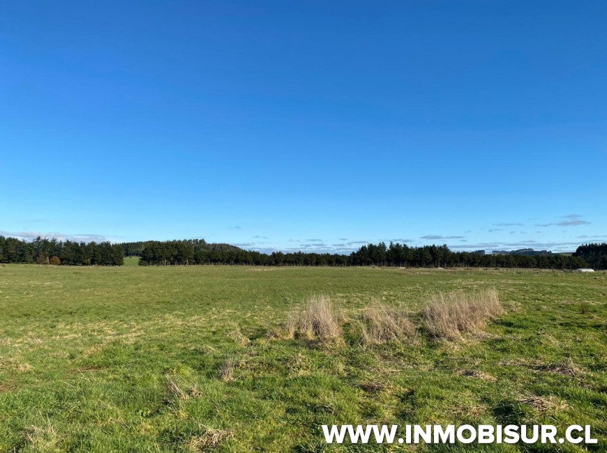 Venta en Llanquihue | Parcelación Altos de Totoral a 12 minutos de Puerto Varas