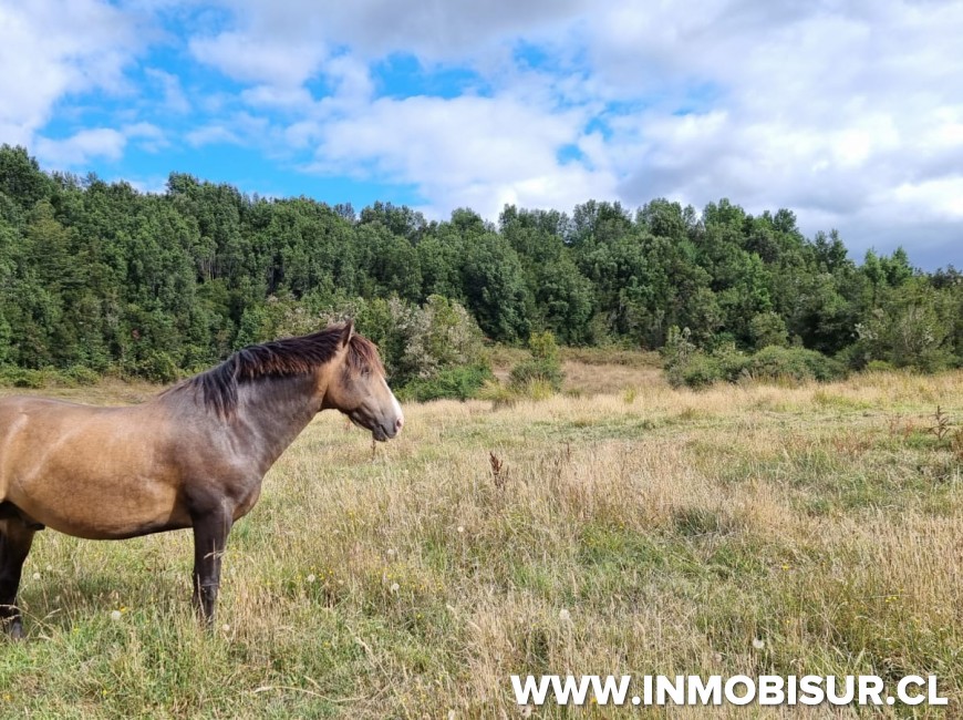 Venta en Puerto Montt | Parcelación Hacienda Doña Erika, Camino a Las Lomas