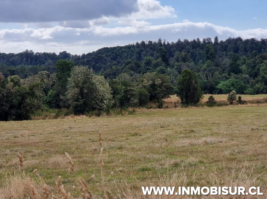 Venta en Puerto Montt | Parcelación Hacienda Doña Erika, Camino a Las Lomas