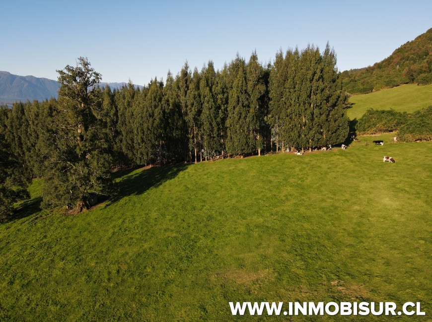 Venta en Puerto Varas | Parcelas con increíble vista al lago Llanquihue a la venta en Bosque Mirador, Puerto Varas
