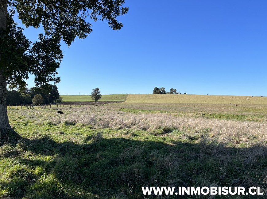 Venta en Puerto Varas | Parcelas agroresidenciales a la venta en Nueva Braunau, Puerto Varas