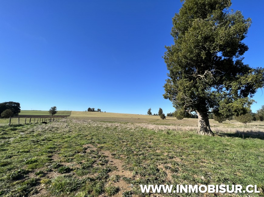 Venta en Puerto Varas | Parcelas agroresidenciales a la venta en Nueva Braunau, Puerto Varas