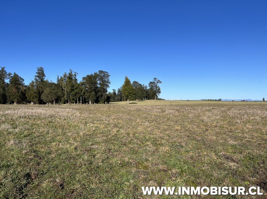 Venta en Puerto Varas | Parcelas agroresidenciales a la venta en Nueva Braunau, Puerto Varas