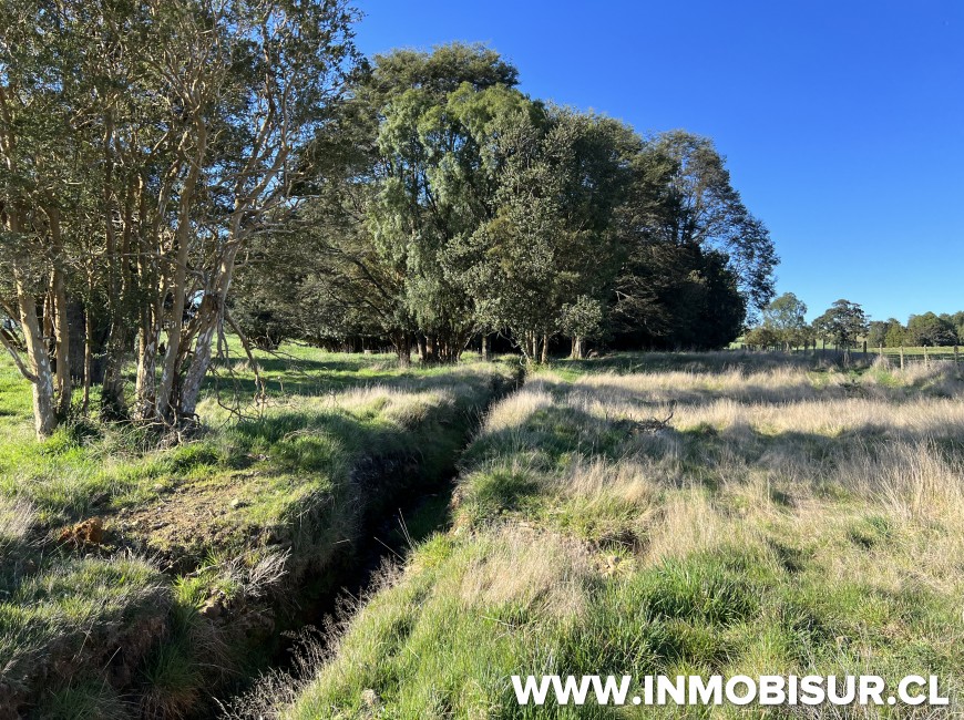 Venta en Puerto Varas | Parcelas agroresidenciales a la venta en Nueva Braunau, Puerto Varas