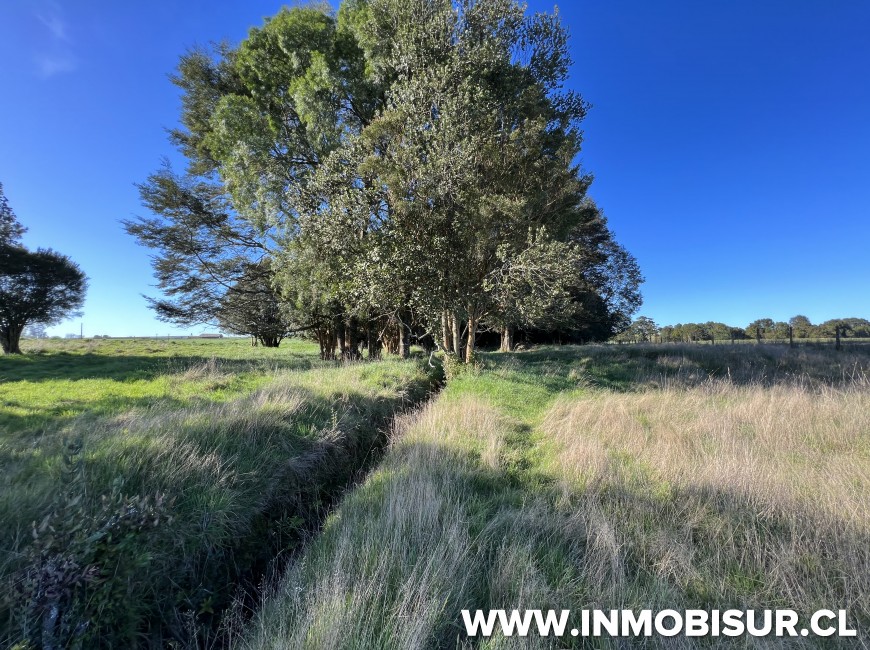 Venta en Puerto Varas | Parcelas agroresidenciales a la venta en Nueva Braunau, Puerto Varas