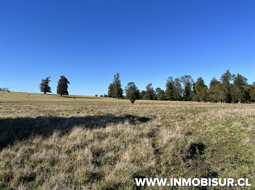 Venta en Puerto Varas | Parcelas agroresidenciales a la venta en Nueva Braunau, Puerto Varas