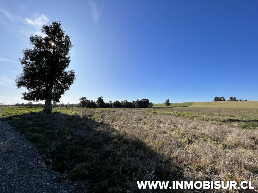 Venta en Puerto Varas | Parcelas agroresidenciales a la venta en Nueva Braunau, Puerto Varas